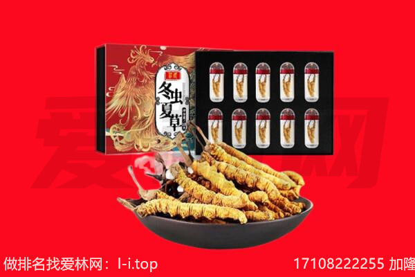 上海杨浦区回收虫草.jpg